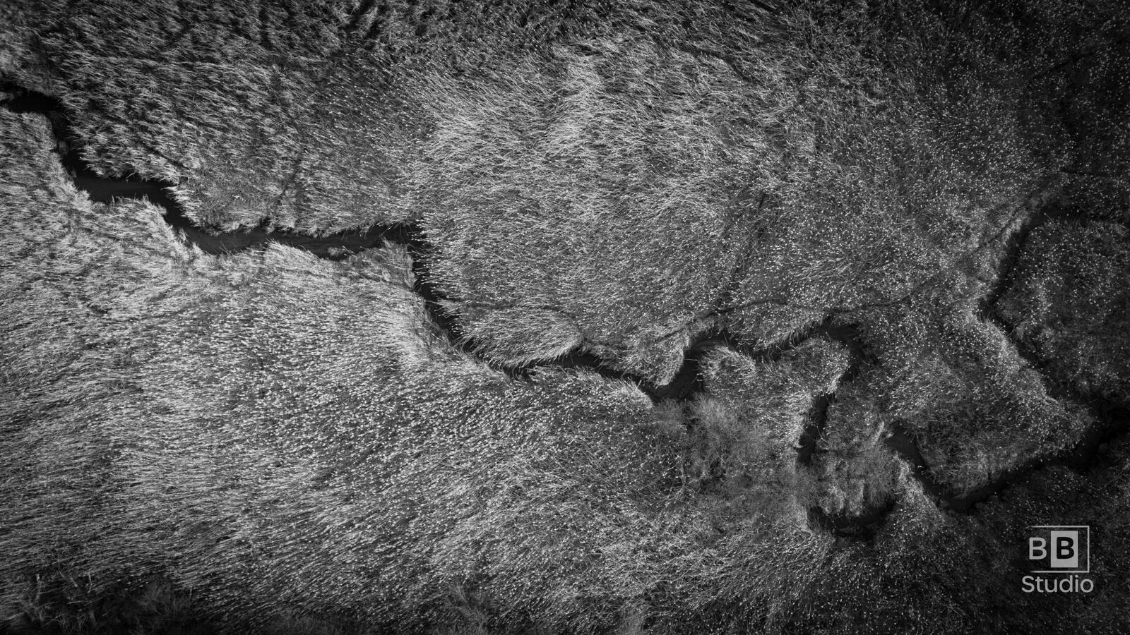 Drone aerial photography black and white nature preserve McHenry County Illinois