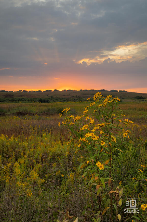 Lake In The Hills Fen Conservation Area