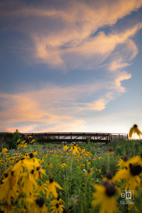 McHenry County Bridge Sunset