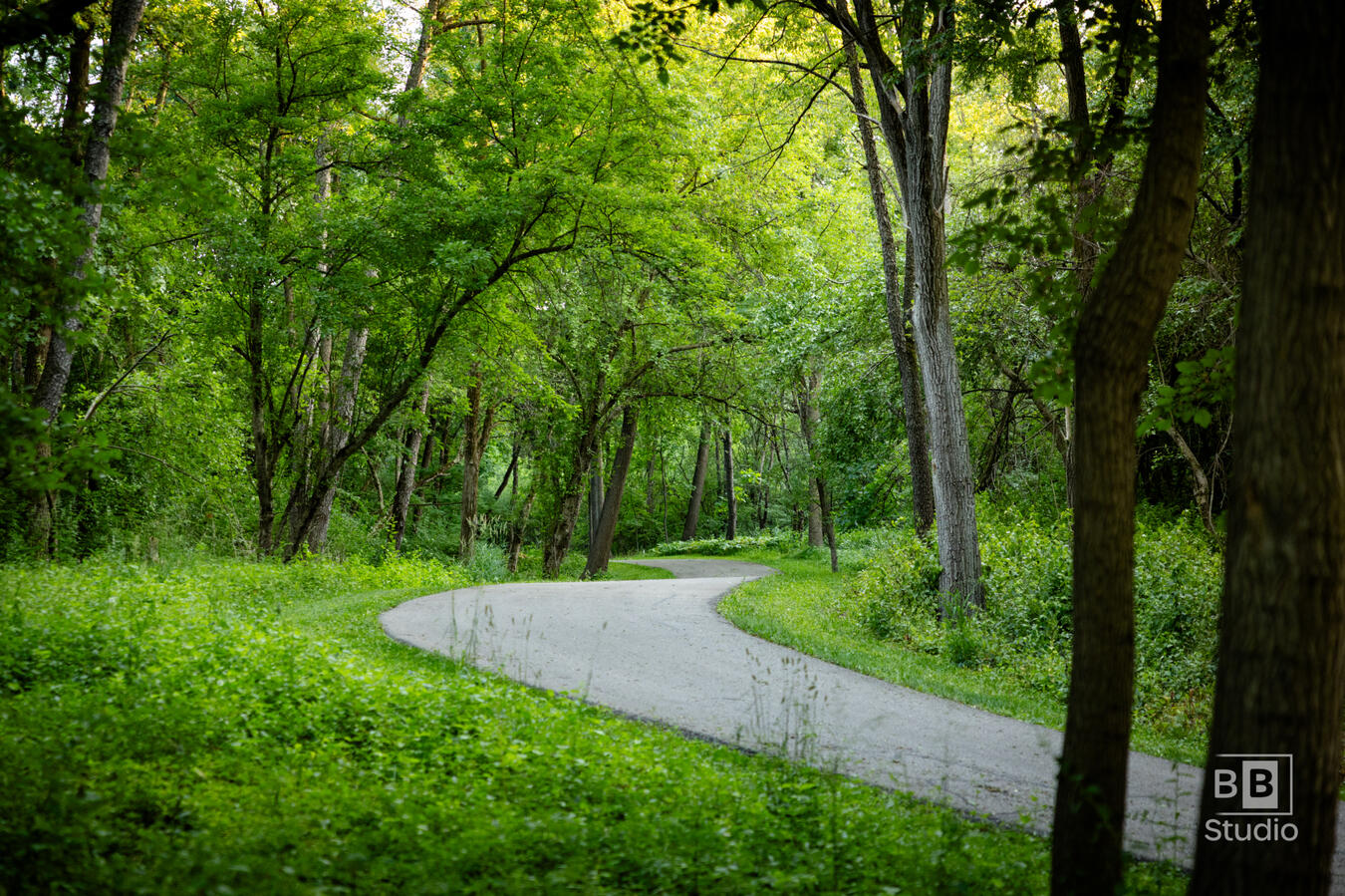 Beautiful wall art green path at Fel-Pro Conservation Area in McHenry County Illinois