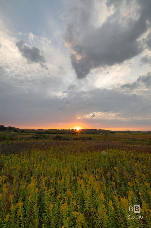 Lake In The Hills Fen Conservation Area